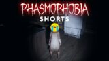 Ghost Chases Me Out! I'm Leaving! I'm Leaving! – Phasmophobia #shorts