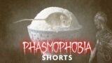 How to Annoy the Ghost into Appearing – Too Many Rhymes – Phasmophobia Funny #shorts