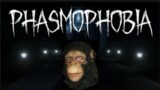 Chimpanzee Plays Phasmophobia #shorts