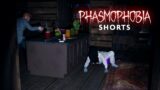 Crawling Ghost Kiting in Tight Spots – Phasmophobia #shorts