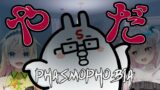 【Phasmophobia】ついに、俺が参戦！！！【syouta視点】 #ひつひま