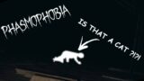 IS THAT A CAT?! | Phasmophobia VR