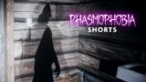 Scold the Ghost to Get Your Evidence | Phasmophobia #shorts