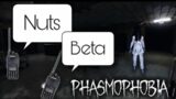 Phasmophobia Code Names, Asylum (Funny Moments)