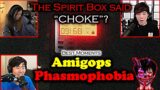 The Amigops got CHOKED in phasmophobia | ft. Sykkuno, Valkyrae, Corpse, Toast | Best Moments