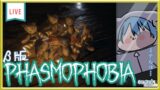 【Phasmophobia】大型アップデートきたぞおおおおおおおおお！！！！！！【EXPOSITION】
