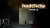 Is This the Ghost? Or is it a Bug? | Phasmophobia #shorts