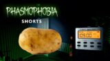 The Ghost is an Old Potato | Phasmophobia #shorts