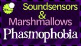 [Phasmophobia] – Soundsensors Optimal Coverage in Maple Lodge.