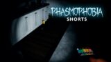 How You Know Your Ghost is a Cat | Phasmophobia #shorts