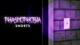 This Ghost LOVES the Light Switch | Phasmophobia #shorts