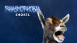 Screamed Like a Goat | Phasmophobia #shorts