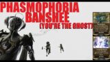 [WARFRAME] New PHASMOPHOBIA Banshee Build Will Be NASTY In Veilbreaker