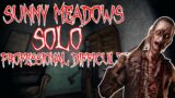 Solo Sunny Meadows In Professional Difficulty | Phasmophobia