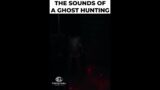 This is What a Ghost Hunting Sounds Like  |  Phasmophobia #shorts