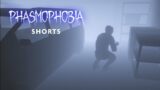 When New VR Players Try to Hide During the Hunt | Phasmophobia #shorts
