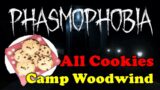 Phasmophobia – Camp Woodwind, Location of the Cookies