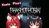 🔴【Phasmophobia】Star Fox and Chaos Demon Spirit slappa some ghosts!! w/ @Mitsumono_Rin~