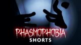 Ghost Doesn't Like My Singing – Phasmophobia Highlights #shorts