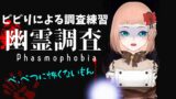 【Phasmophobia】ビビりが幽霊調査員になったらしいよ【森野ちゃお/新人Vtuber】