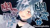 【Phasmophobia】初見さん大歓迎！平日はほぼ毎日幽霊調査配信👻【バーチャルゆうれい】