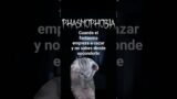 QUIEN SE SIENTE IDENTIFICADO?  #phasmophobia #phasmophobiagameplay #phasmophobiagame