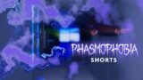 Seeing Myself in the Haunted Mirror | Phasmophobia #shorts