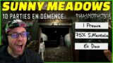 10 Parties En Démence sur Sunny Meadows – Phasmophobia FR