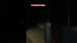 Phasmophobia, give me a follow