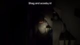 THE REAL MYSTERY CREW!!!! #phasmophobia #scared #funny #games #horror #ghost #meme #jumpscare