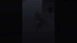 TREY DIED AGAIN IN PHASMOPHOBIA