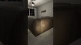 The Ghost Is NOT friendly-phasmophobia