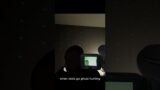 when idiots go ghost hunting #phasmophobiagameplay #phasmaphobia #phasmophobia #funnymoments