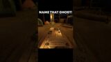 Name That Ghost in Phasmophobia! 4