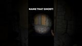 Name That Ghost in Phasmophobia! 5