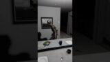 He definitely listened 😂! #phasmophobia #gaming #streamer #horror